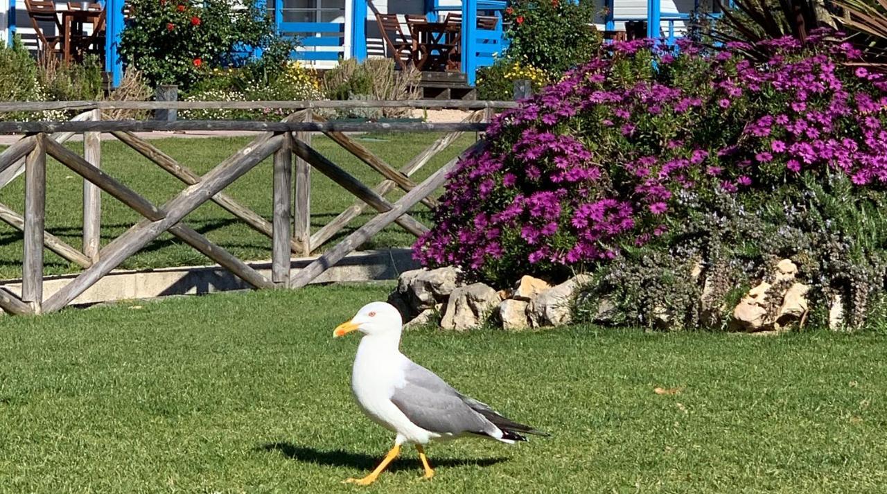 פורטו קובו Costa Do Vizir Beach Village מראה חיצוני תמונה