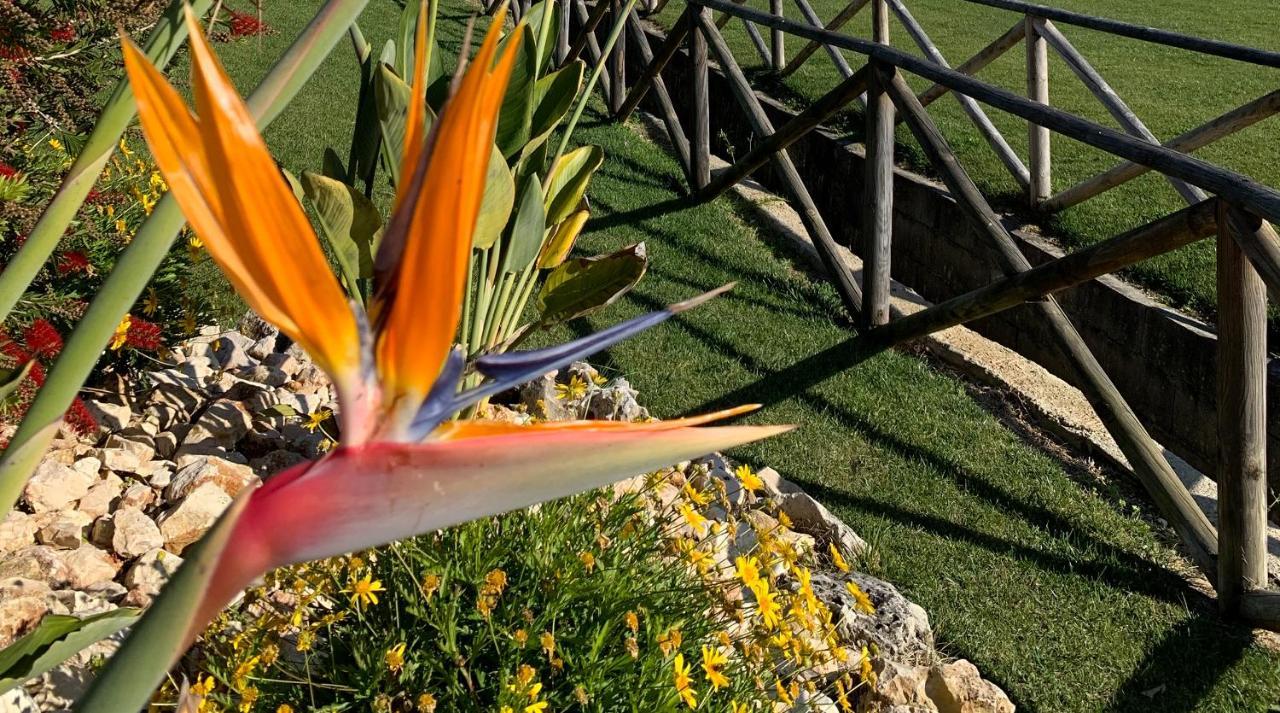 פורטו קובו Costa Do Vizir Beach Village מראה חיצוני תמונה
