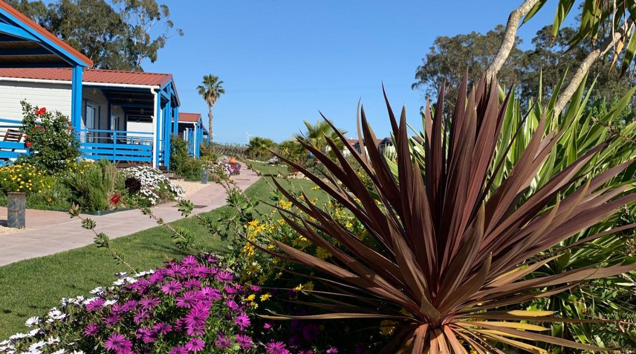 פורטו קובו Costa Do Vizir Beach Village מראה חיצוני תמונה